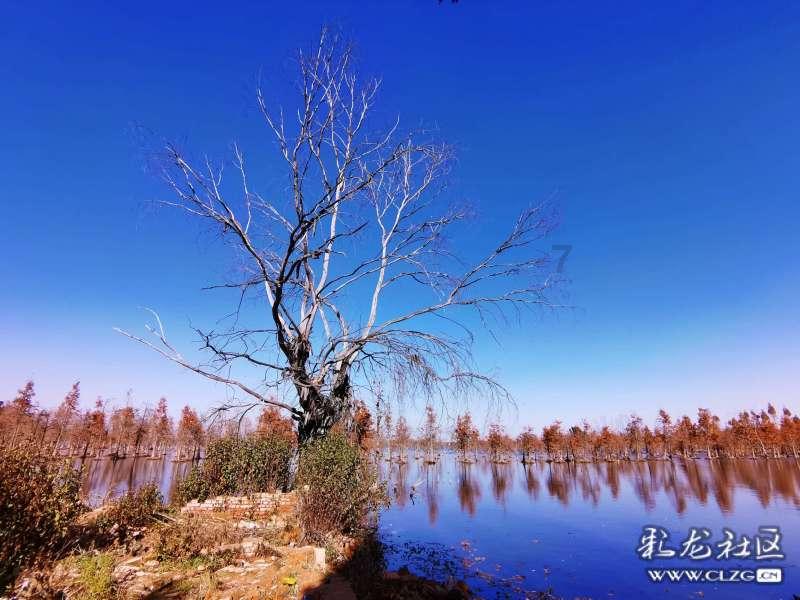 为什么在朋友圈晒恋爱总被女朋友骂？游戏画面