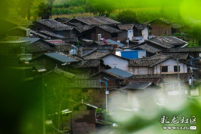 小猫钓鱼开船版最新版下载