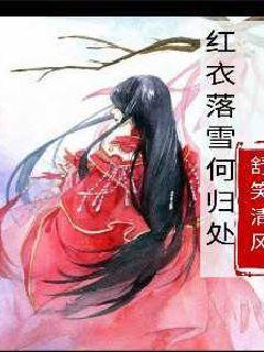 有趣的动物拼图