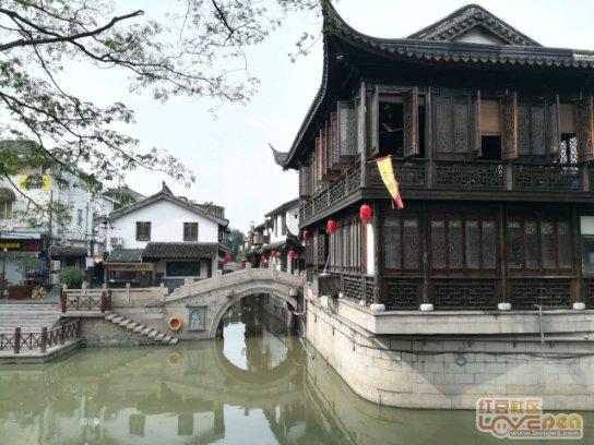 小艾比当营养师