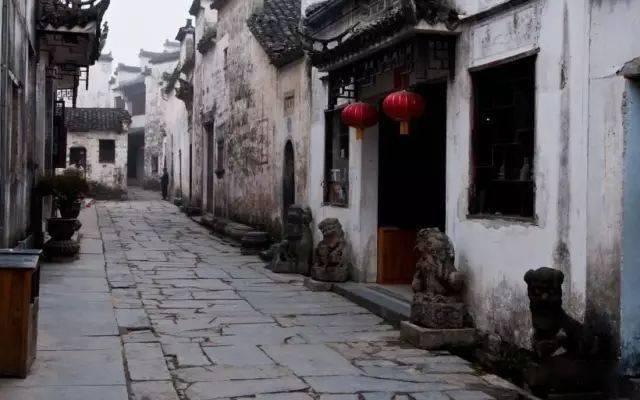 双峰驼产业技术创新联合体正式成立
